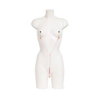 50 Tinten Collectie Fifty Shades Of Grey Freed Tepelklem Ketting 50 tinten collectie kopen in de aanbieding