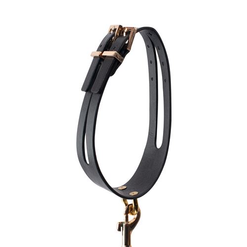 gp-premium-collar-leash-set-black