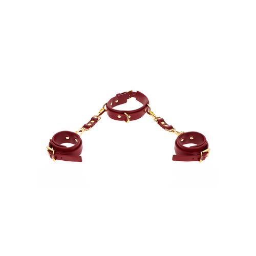 d-ring-collar-and-wrist-cuffs