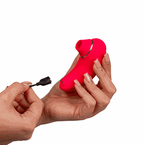 Willie Toys Premium luchtdrukvibrator handfoto