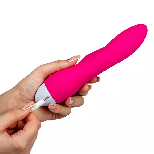 Willie Toys Waving Dolphin Vibrator opladen