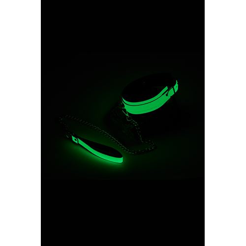 radiant-collar-and-leash-glow-in-the-dark-green