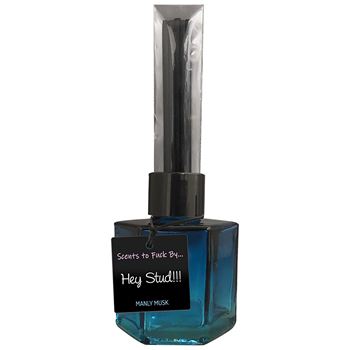Scents To Fuck By... Hey Stud!!! - Geurstokjes - 20 ml (Blauw)