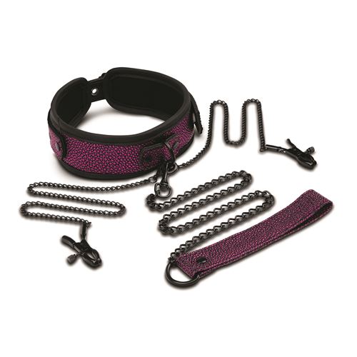 whipsmart-dragons-lair-collar-leash-nipple-clips-set