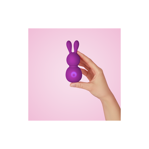 FemmeFunn - Bunny Massager - Kleine vibrator