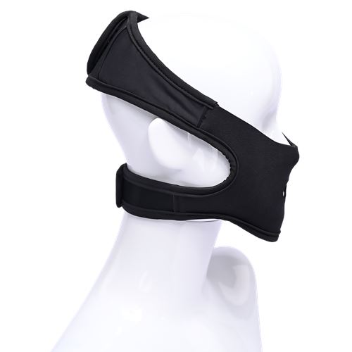 sportsheets-pivot-in-your-face-strap-on