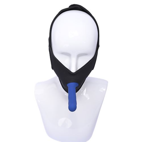 sportsheets-pivot-in-your-face-strap-on